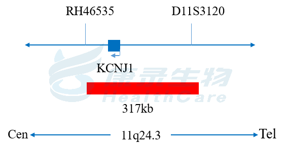 中国·拉斯维加斯(3499·官方认证)网站-Officialwebsite